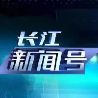 作者案例